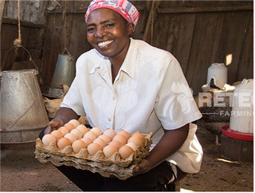 poultry cage raising chickens in Kenya