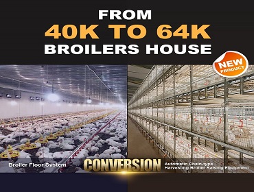 68k broiler house in the Philippines