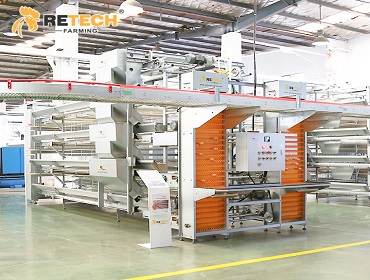 Layer Cage System in the Philippines